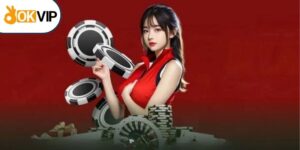 Bbin Live Casino